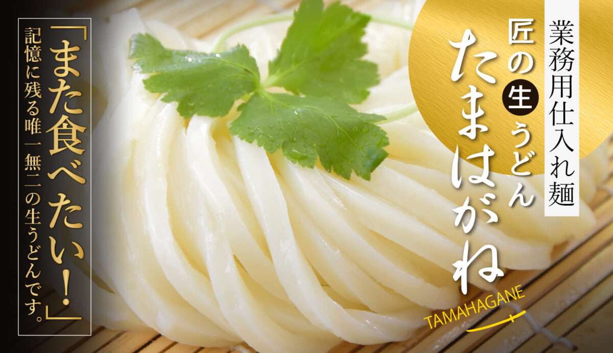 業務用仕入れ麺、匠の生うどん　たまはがね